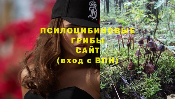 амф Медвежьегорск