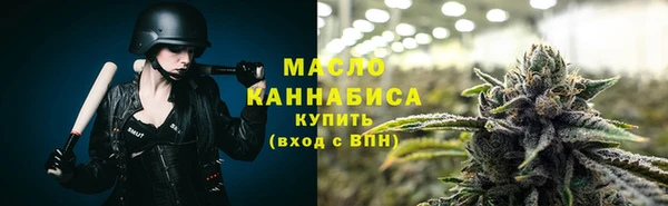 хмурый Мегион