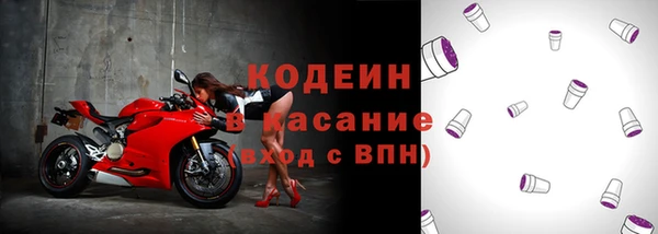 хмурый Мегион