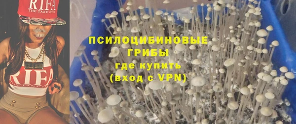хмурый Мегион
