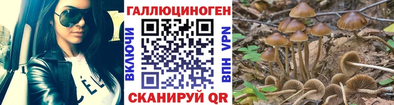 Галлюциногенные грибы GOLDEN TEACHER  Фёдоровский 